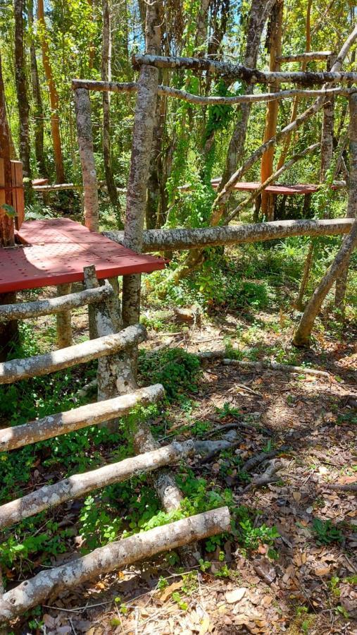 Hotel Lodge Las Cascadas Puerto Clocker Buitenkant foto