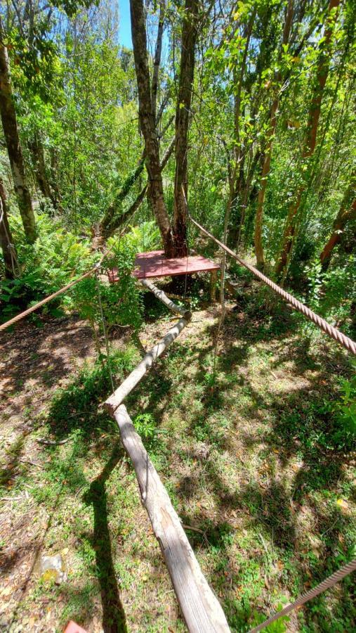 Hotel Lodge Las Cascadas Puerto Clocker Buitenkant foto